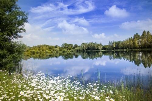 Lake Pochard Holiday Lodges South Cerney Buitenkant foto